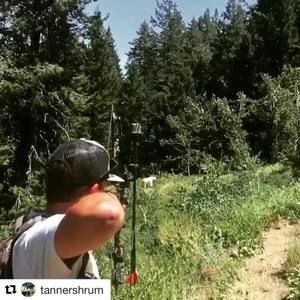 Meet your Posher, Tanner